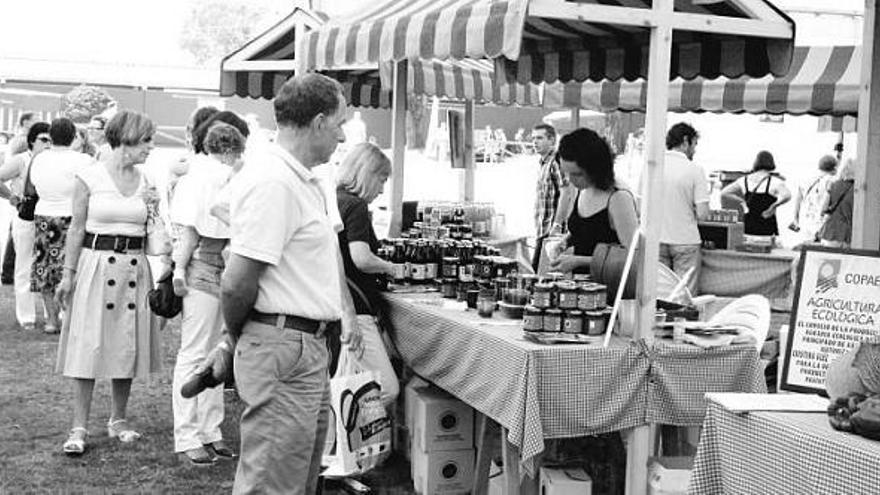 Visitantes, ayer, en la Feria ecológica de Llanera.