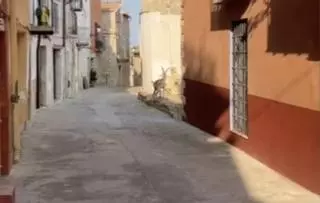 Una cabra se pasea por las calles de un municipio de Castellón