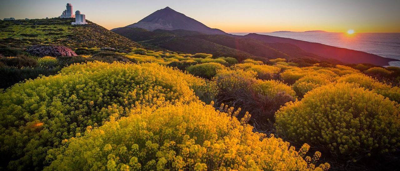 El Parque Nacional del Teide en primavera.