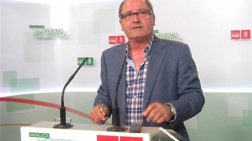 PSOE-A afirma que la reforma universitaria del PP &quot;ataca directamente al corazón de la igualdad de oportunidades&quot;