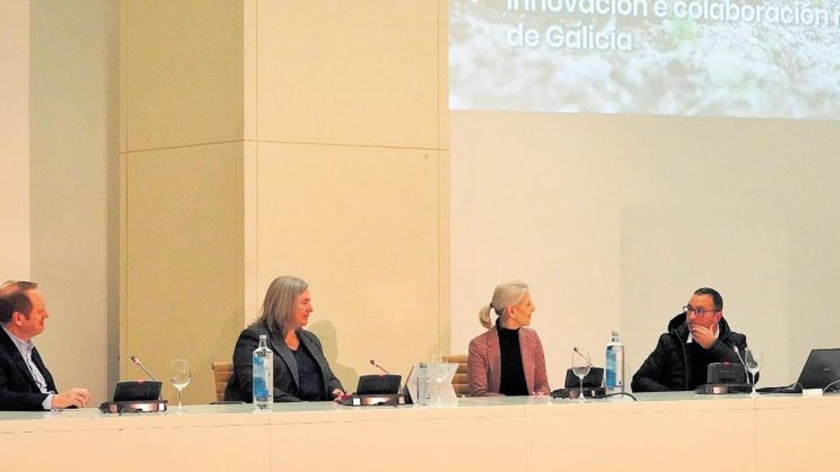 Por la izquierda, Javier García, Cristina Pérez de Lema, Covadonga Toca y Xoán España, en la presentación de O noso reto solidario.