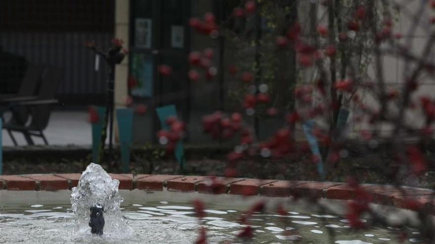 El Botánico ofrece &#039;Atardeceres de relax&#039; desde este martes