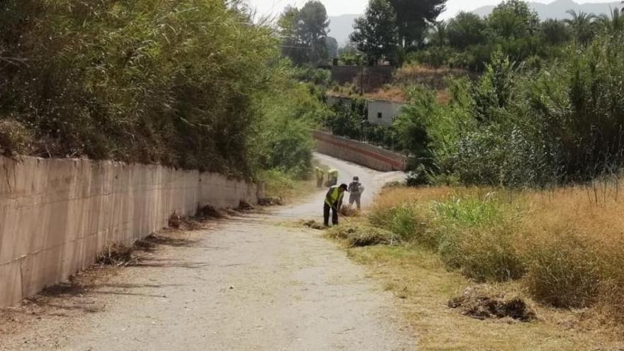 Operarios empleados con el plan realizan desbroces en un camino rural de Xàtiva.