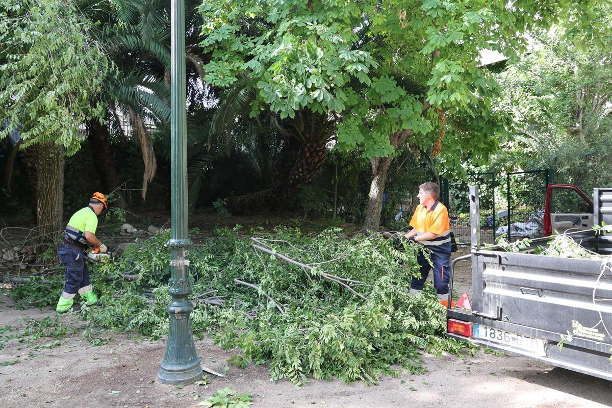 Imágenes del día después en Alcoy tras el temporal