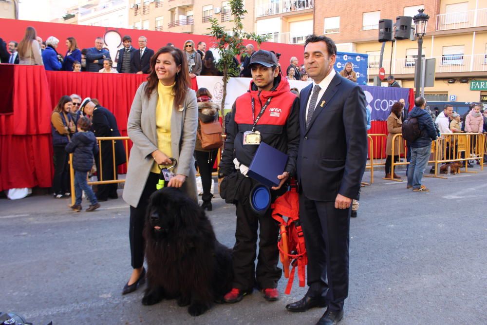 Fiesta de Sant Antoni en la ciudad de València