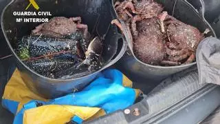 Incautados 22 kilos de centolla y tres bogavantes en Malpica