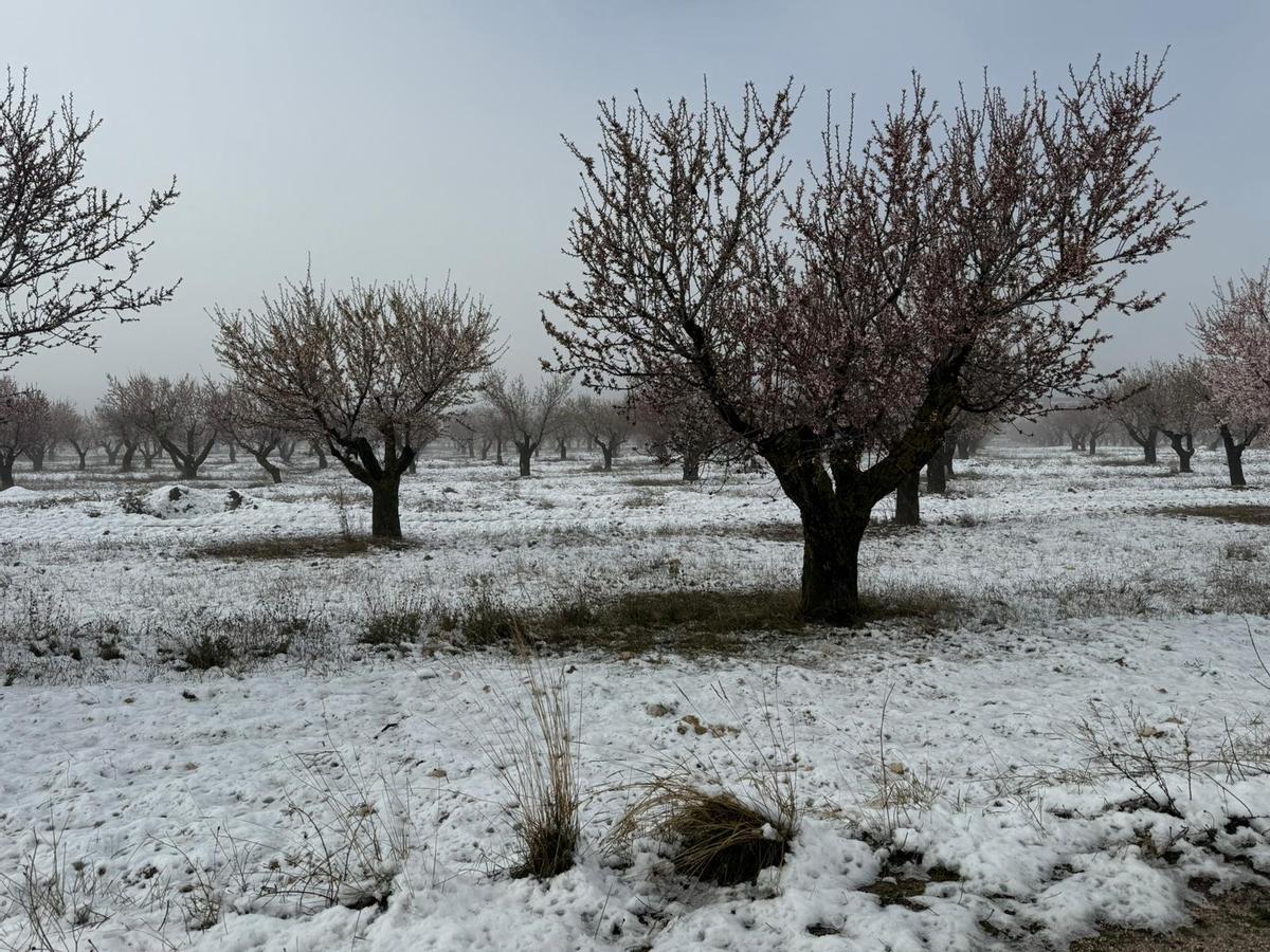 Nevada en Cañada de la Cruz, Moratalla