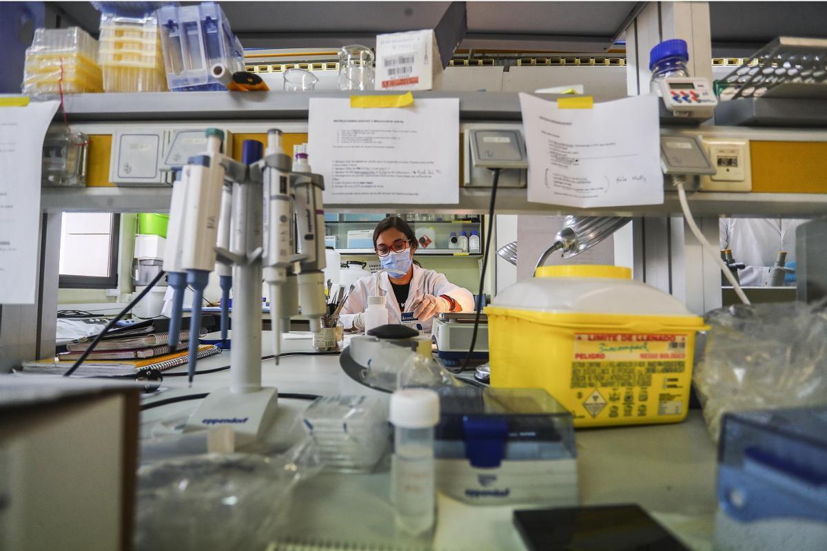 Una neurobióloga investigando en un laboratorio de la Universitat de Valencia