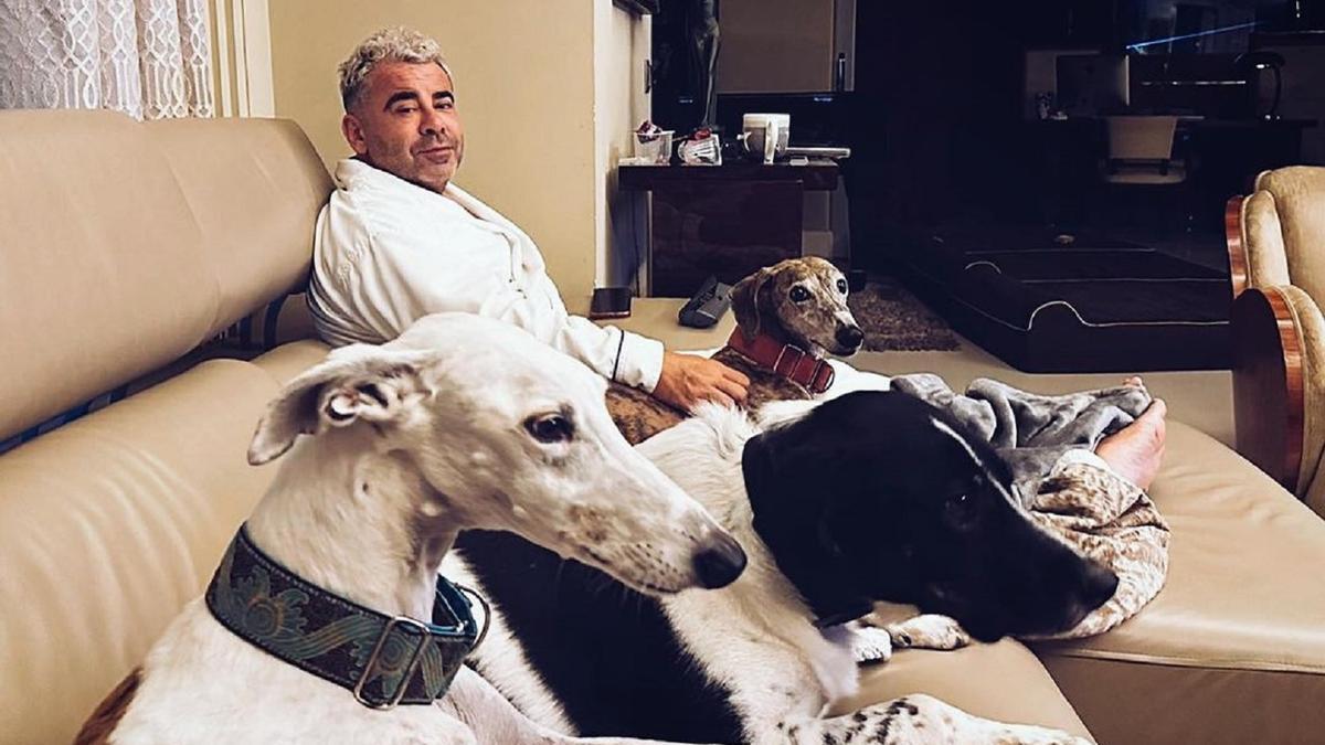 Jorge Javier Vázquez, en una foto reciente con sus perros