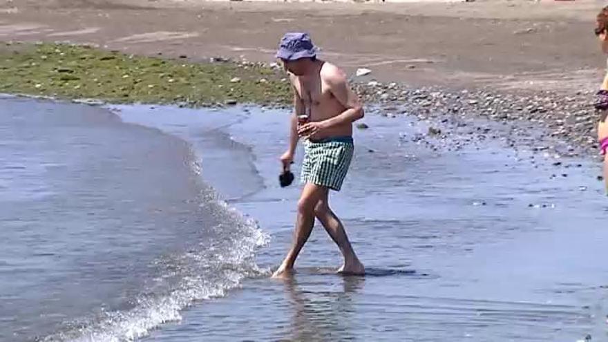 Plaga de medusas en la costa malagueña