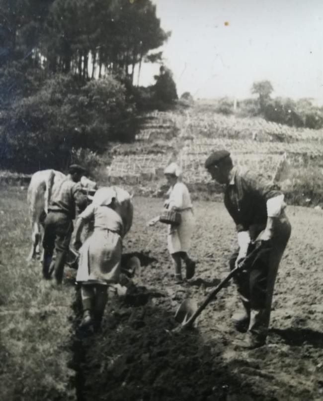 Veciños de Donón na labranza nos anos 60. | // FAMILIA PADÍN COSTAS