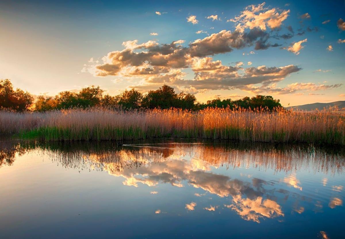 Tablas de Daimiel, Castilla La-Mancha, Mar de viñedos, agua