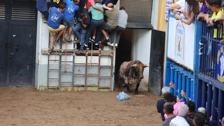 Vídeo: Almassora vive una intensa y animada tarde taurina