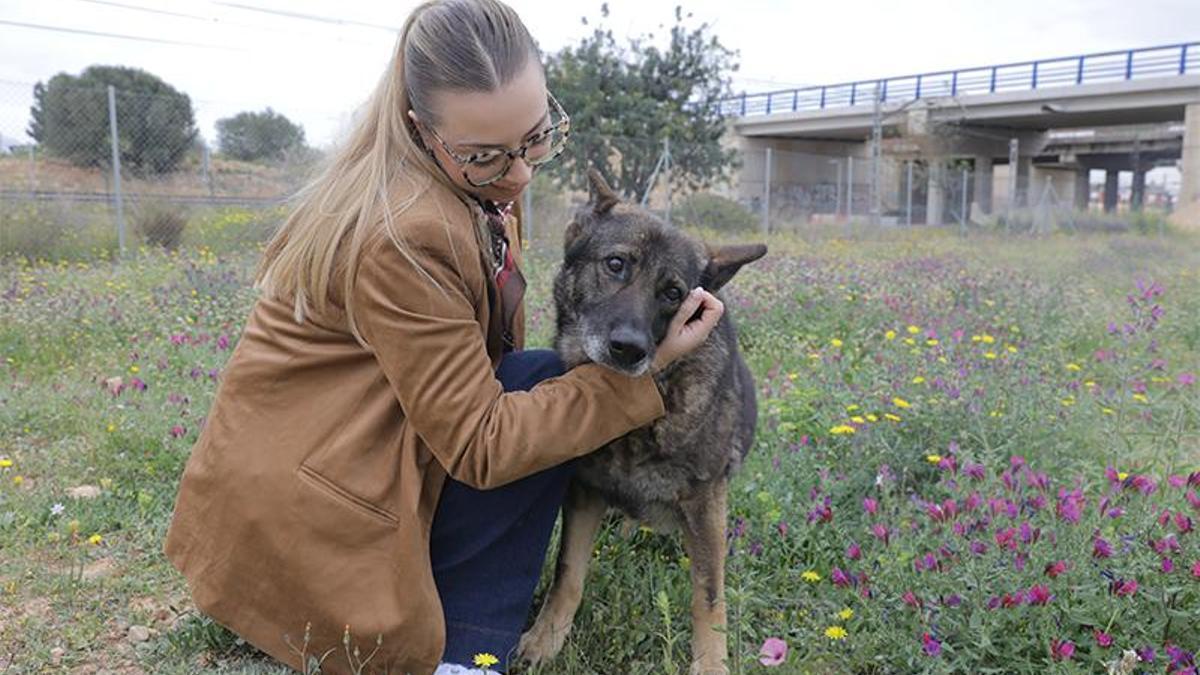 Johana Gómez con Jiri, una de las peludas sénior del Refugio de Animales de Paterna