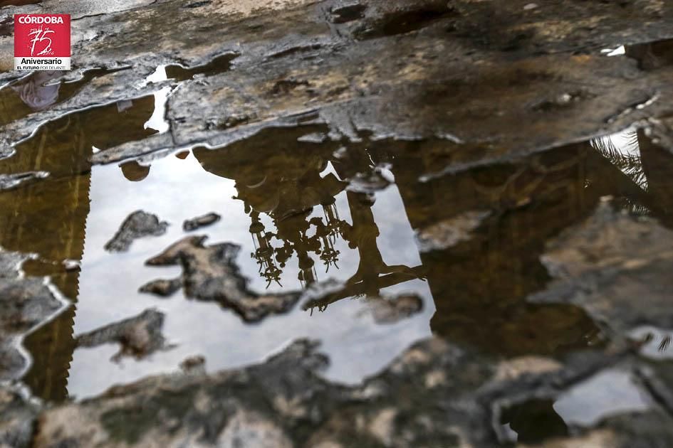 FOTOGALERÍA / Hermandad de La Agonía