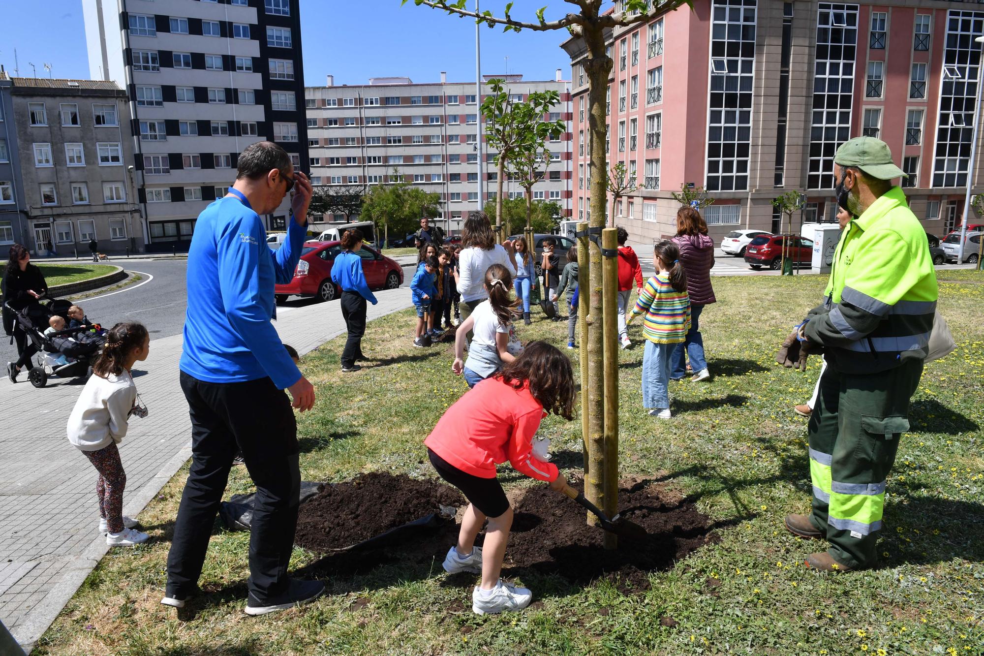 Alumnos del colegio Torre de Hércules plantan quince moreras