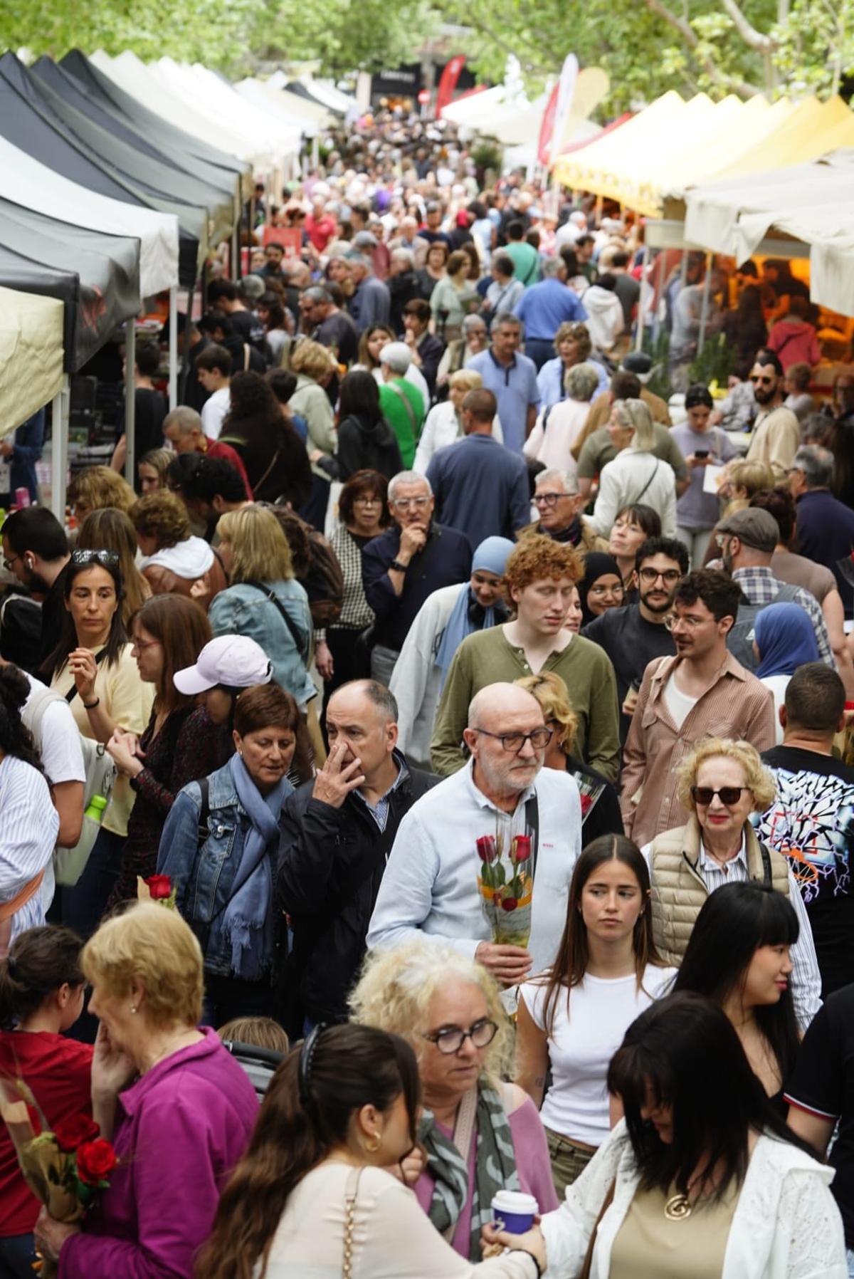 Les millor imatges de la Diada de Sant Jordi 2026 a Manresa