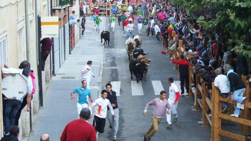 Corredores y astados, en un encierro urbano a su paso por la plaza de San Francisco.