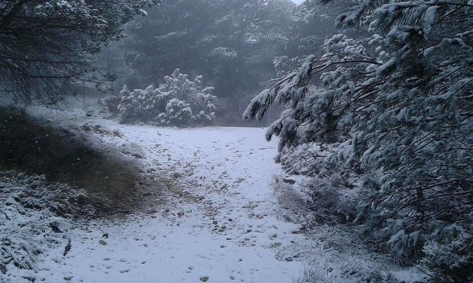 El Xorret de Catí se pinta de blanco