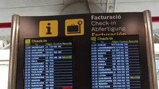 El truco de una influencer en su viaje a Mallorca para seguir su vuelo desde el móvil y calmar a su madre