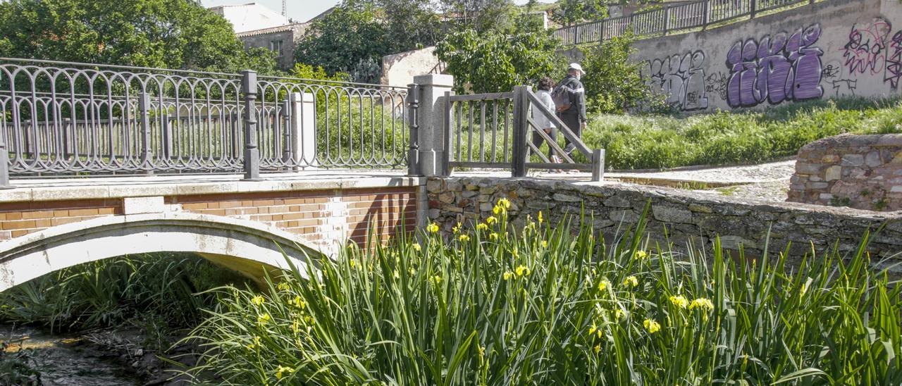 Son varios los partidos que apuestan por la Ribera del Marco como la gran obra pendiente para que Cáceres disfrute de su cauce fluvial.