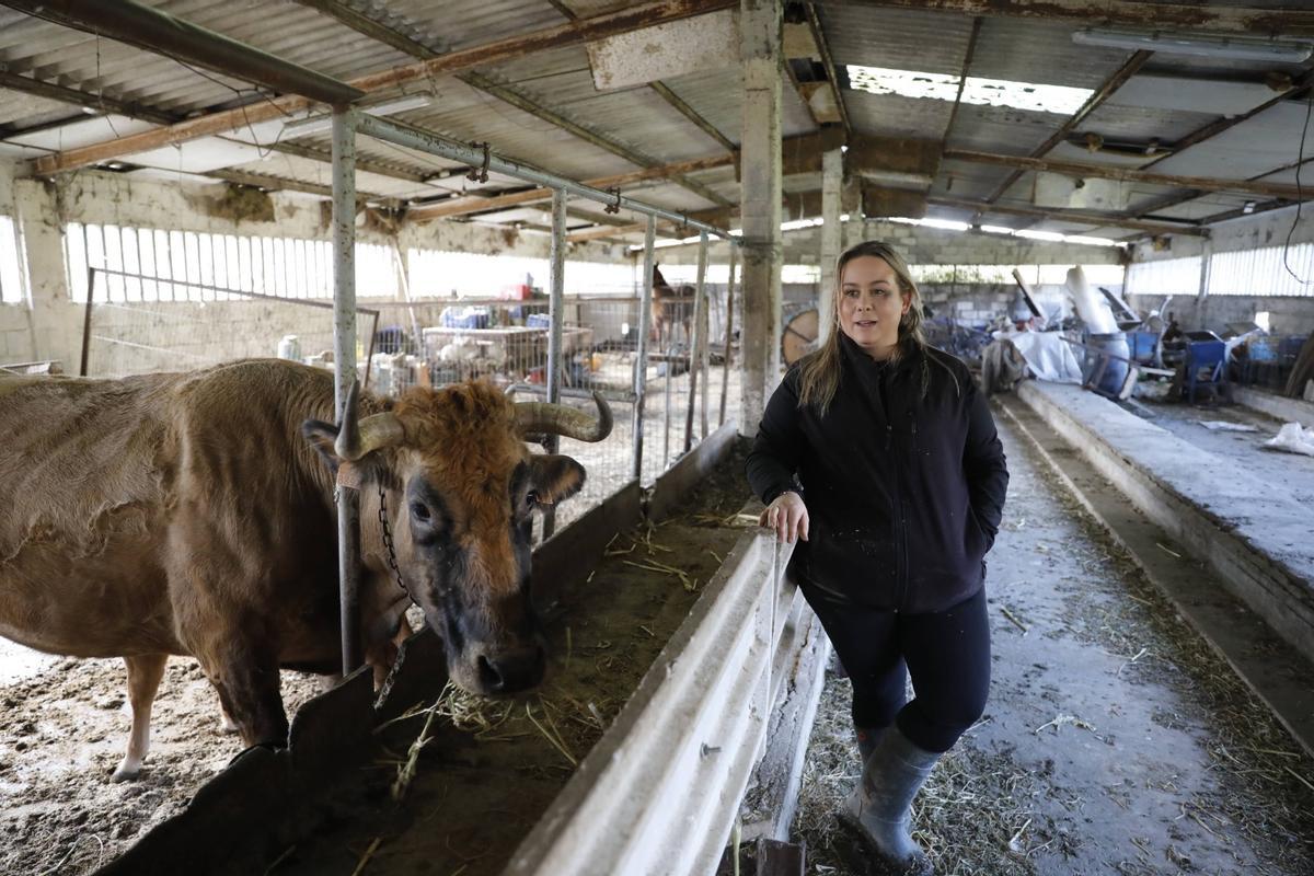 Verónica Molleda, en su ganadería con "Pichona", una de sus vacas