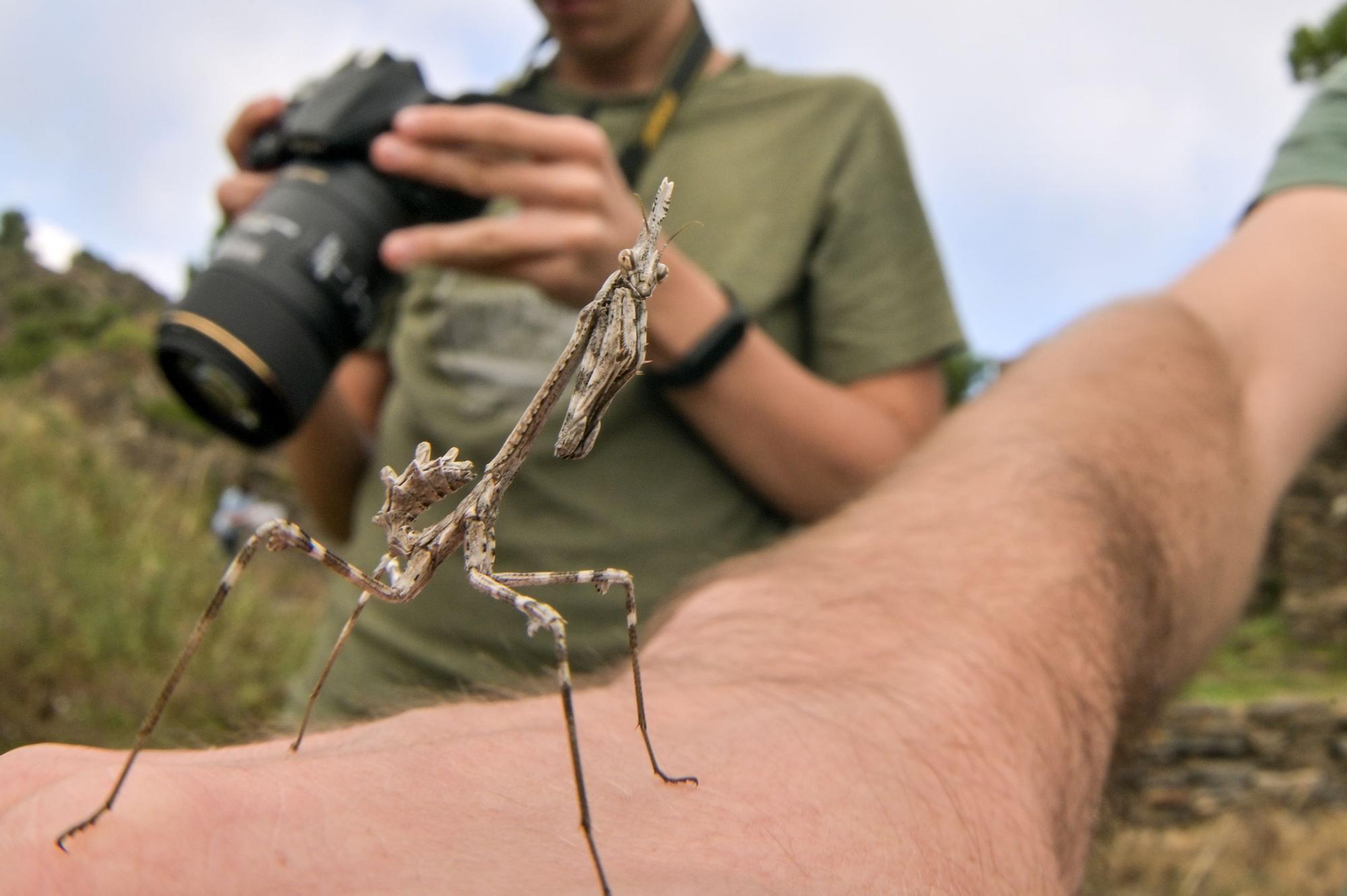 Primer Bioblitz al Parc Natural del Cap de Creus