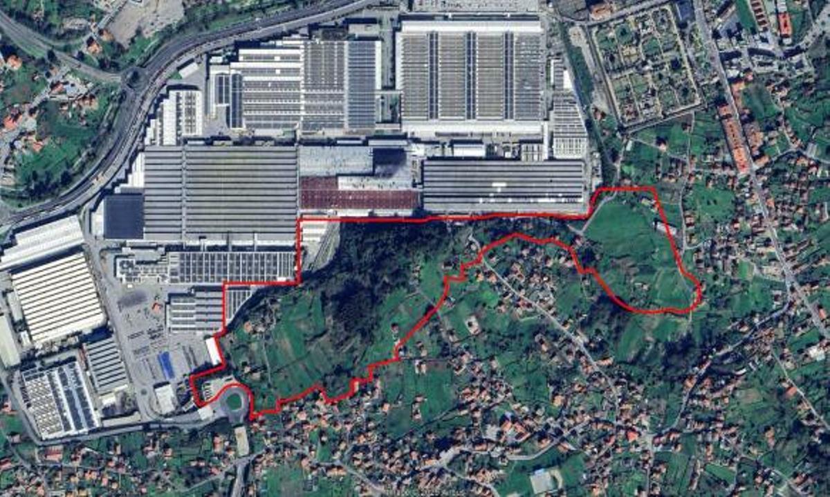 La zona de ampliación.