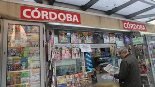 Los quioscos de prensa podrán desarrollar cualquier actividad económica que sea compatible con la instalación
