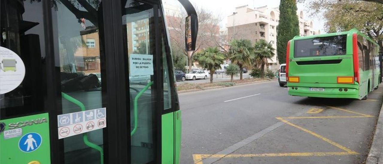 Imagen de archivo de dos autobuses de la capital de la Plana