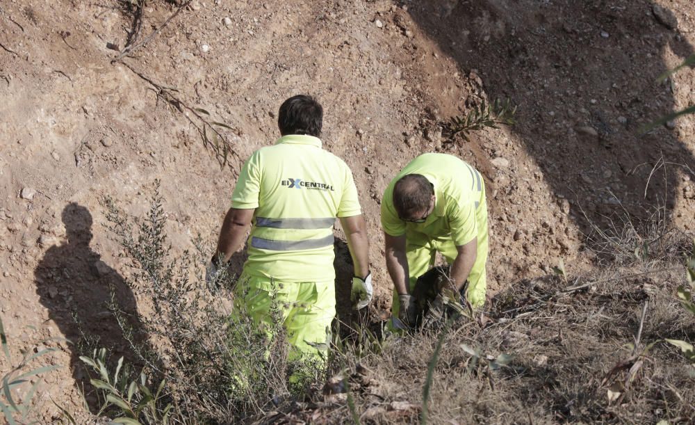 Atasco por un accidente en la autopista de Inca