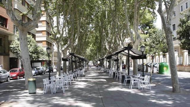 El paseo Alfonso X une la Redonda y Santo Domingo.