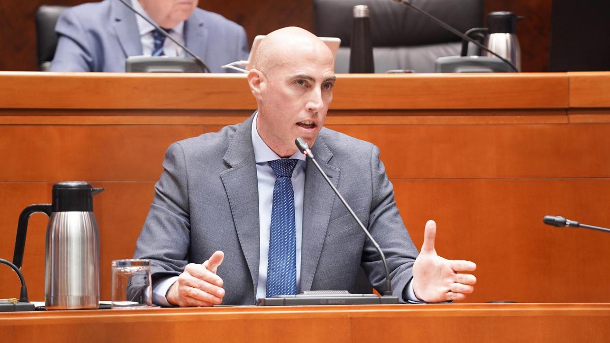 David Sánchez Fraile, que asumió la dirección general en enero, este martes en las Cortes.