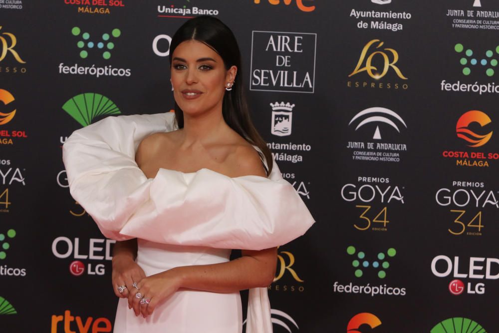 Alfombra roja de los Premios Goya 2020.