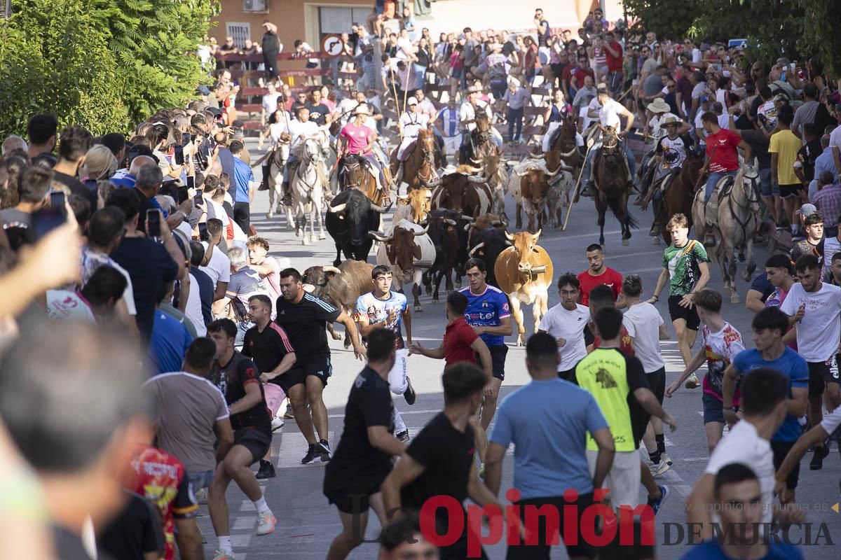 Quinto encierro de las Fiestas de Moratalla