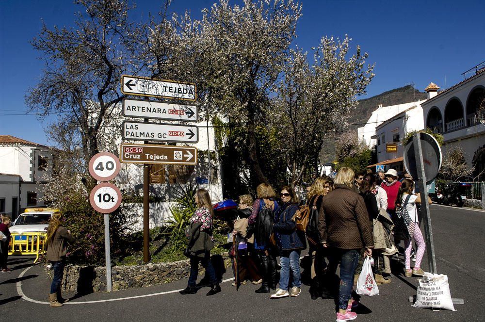 Fiesta del Almendro en Flor en Tejeda