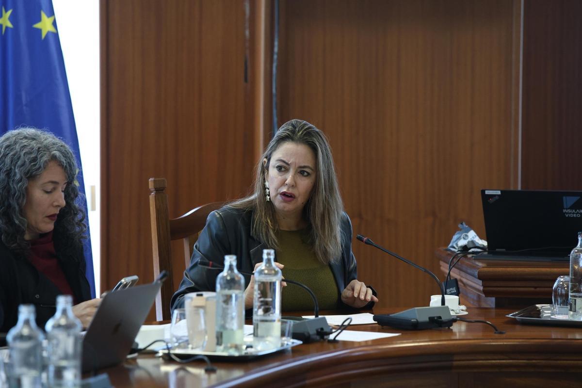 Dolores Corujo (d), en un pleno del Cabildo de Lanzarote