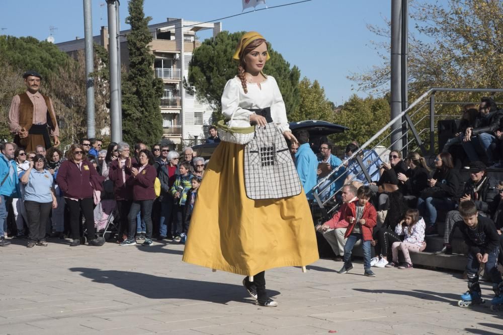 Trobada de gegants de Sant Joan