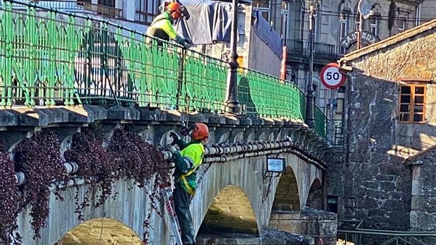 Retirada de especies invasoras del puente de A Ferrería.   | // FDV