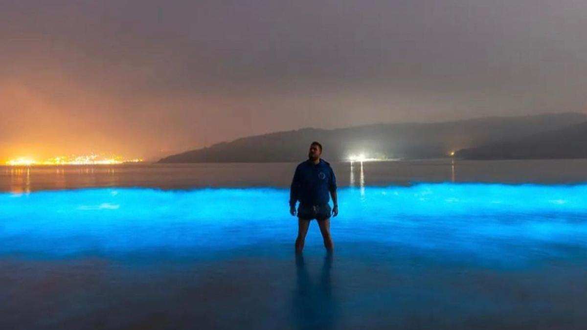 El mar de ardora en una playa gallega.