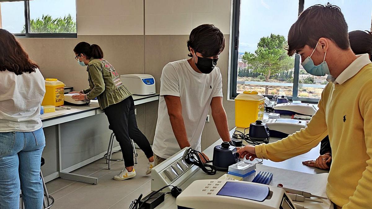 Estudiantes del primer curso de Medicina estrenan el laboratorio del Campus de la UCAM en Cartagena. | UCAM