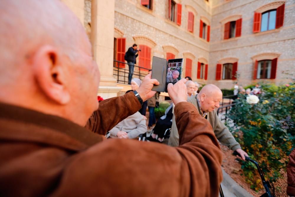 Taxistas de Palma invitan a ancianos a visitar las iluminaciones de Palma