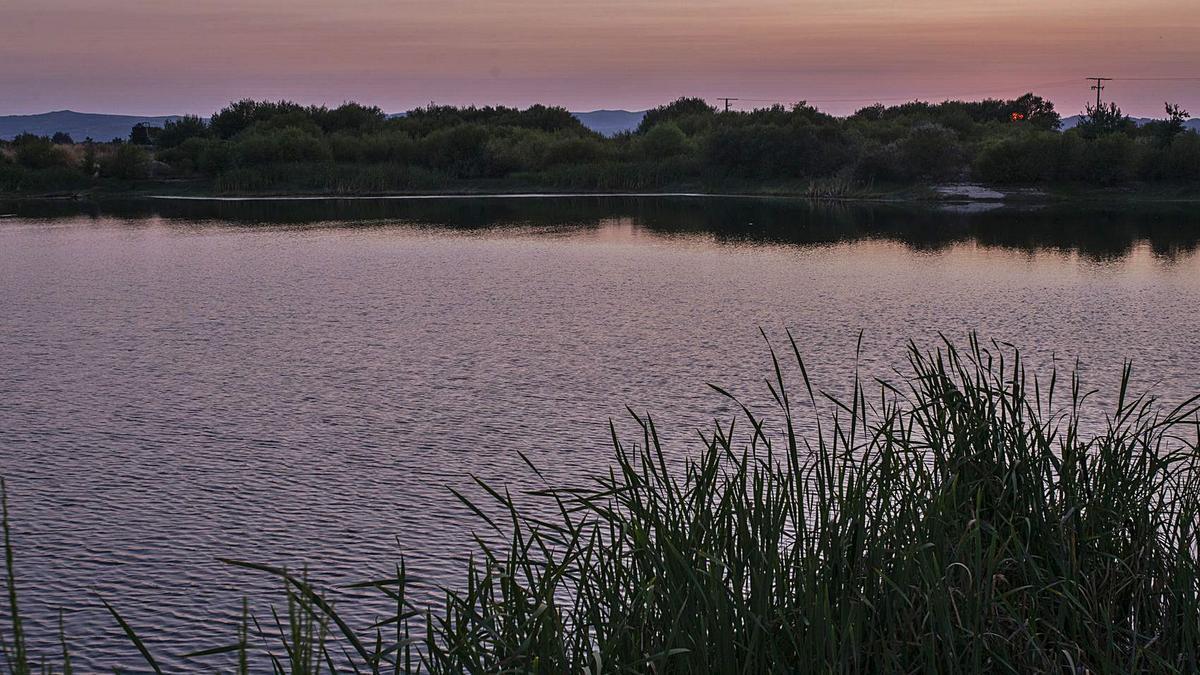 Parte de la laguna de Antela, en A Limia, que todavía se conserva.