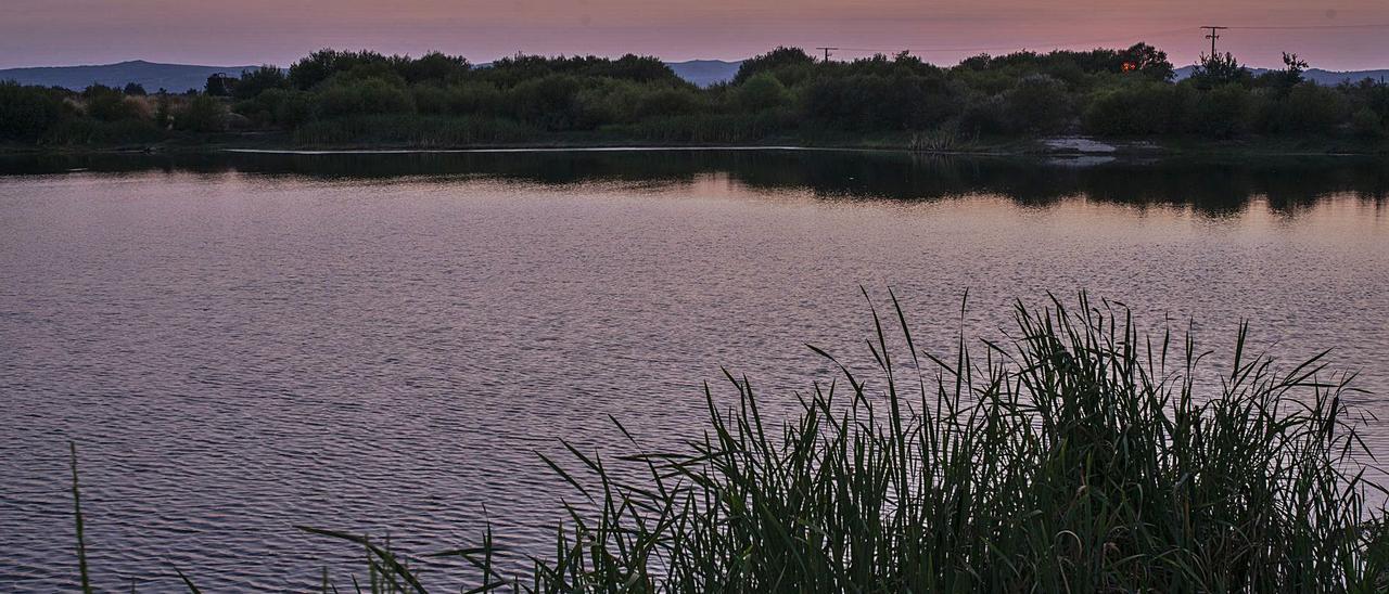 Parte de la laguna que todavía se conserva, ubicada en la comarca de A Limia, y que acoge abundante fauna y flora. |   // BRAIS LORENZO