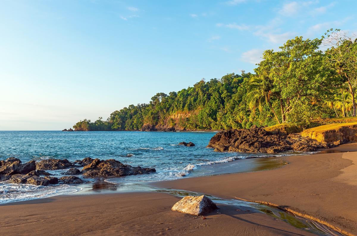 Playa Tropical en Corcovado, Costa Rica