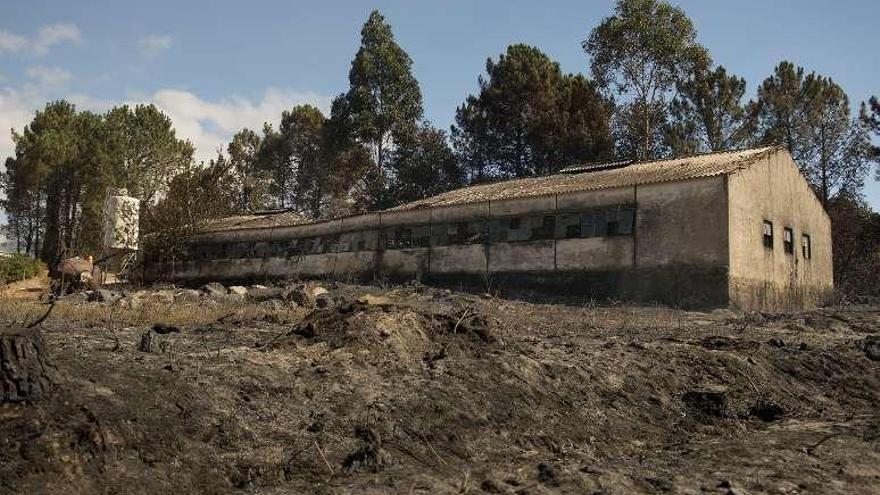 Una granja abandonada totalmente calcinada. // Brais Lorenzo