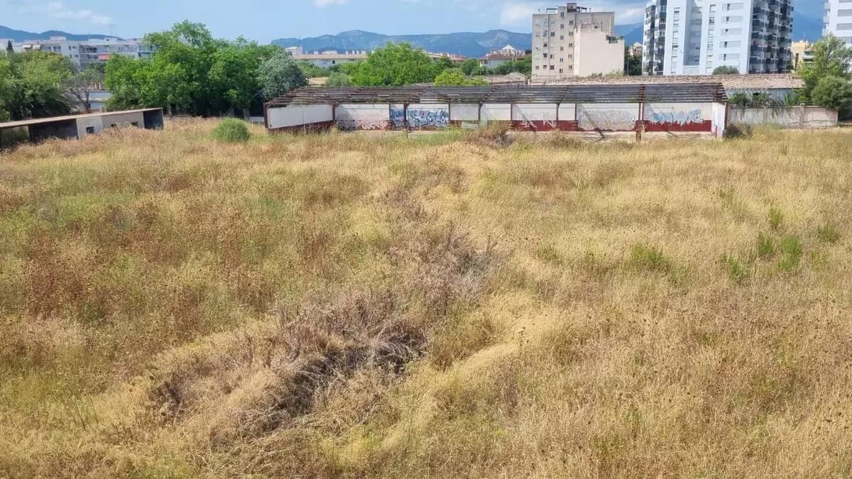 Terrenos de antiguo cuartel de artillería denominado Son Busquets el pasado julio.