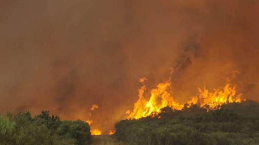 Incendio de Cualedro (Ourense) en septiembre de 2005.