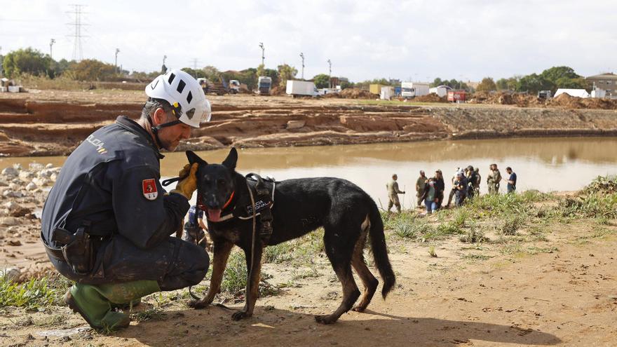 La unidad canina de la Policía Nacional durante el rastreo del barranco del Poyo a su paso por Massanassa