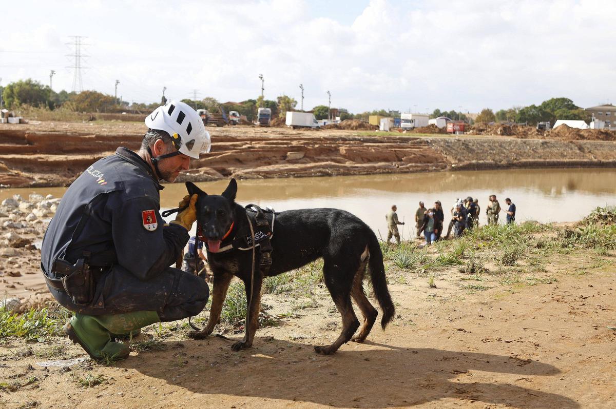 La unidad canina de la Policía Nacional durante el rastreo del barranco del Poyo a su paso por Massanassa.